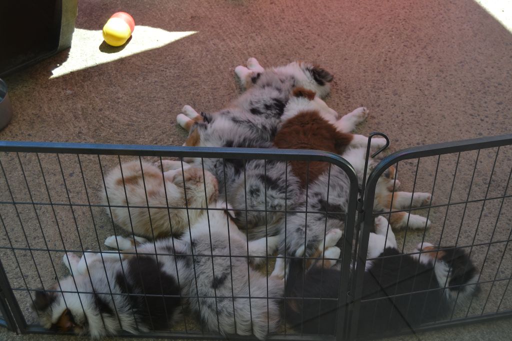 des Champs de l'Aigue - Mathematiques chez les bébés!!!!!!